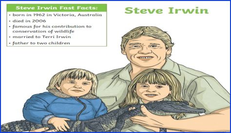 Why Was Steve Irwin Criticized? Unpacking Public Perceptions